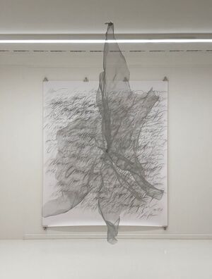 project Duality in Helmhaus Zurich