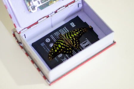 Title: 3691 Bede, Persisting Threads, 2023