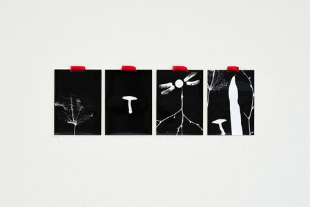 Bodies of Time